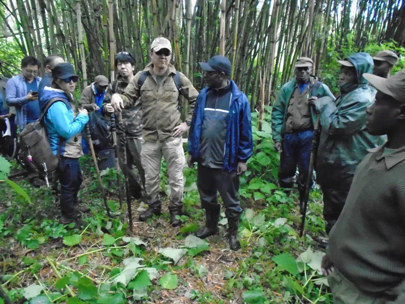 Attractive Safaris