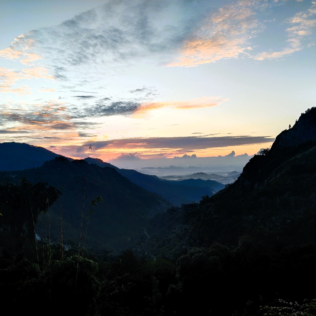 Roundtripsrilanka Travels