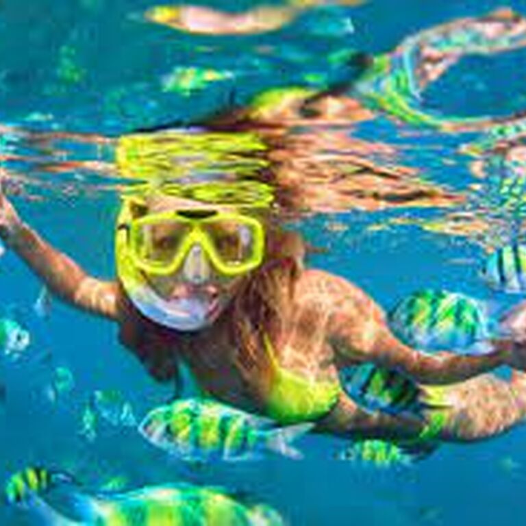 GREEN PLANET TOURS