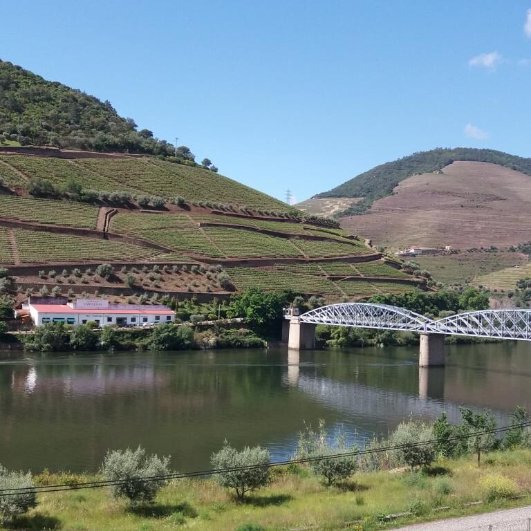 LG Porto Tours