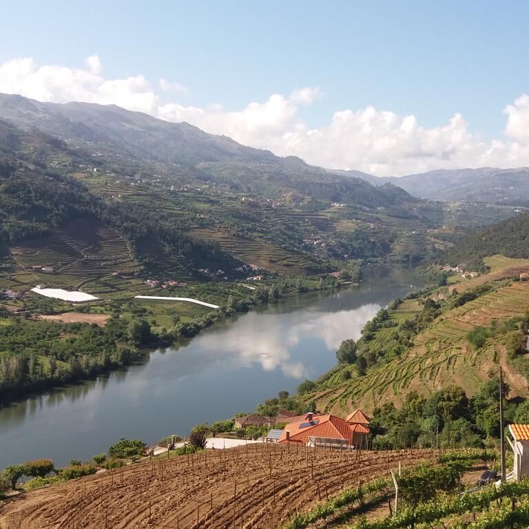 LG Porto Tours