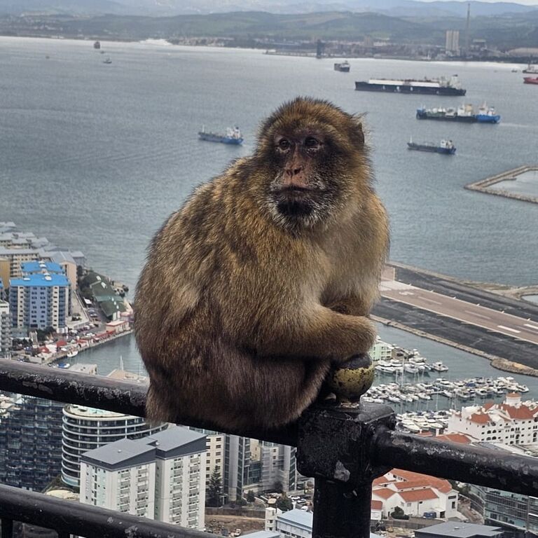 Key Tours (Gibraltar)