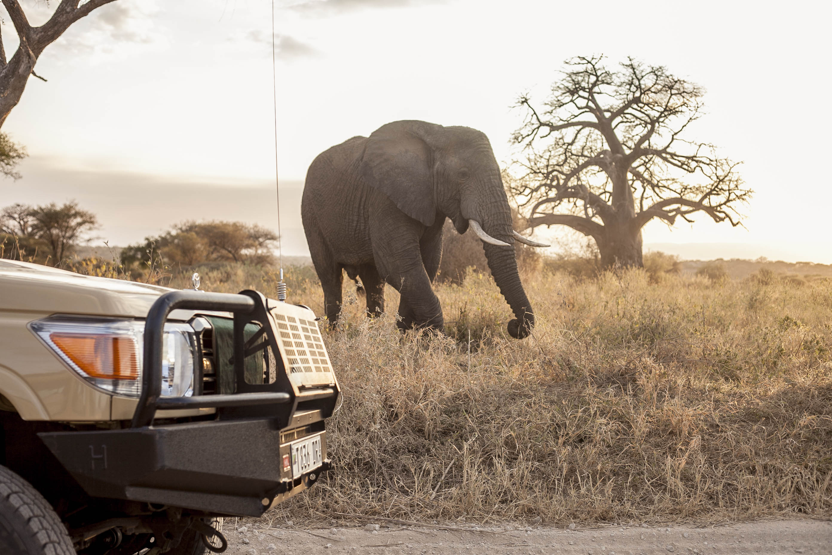 Kilimanjaro Heroes Adventures