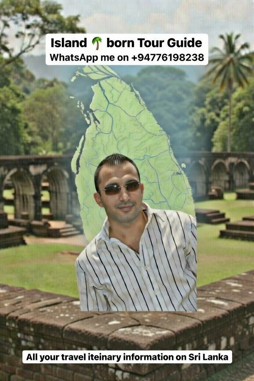 Islandborn Tour Guide soulmate