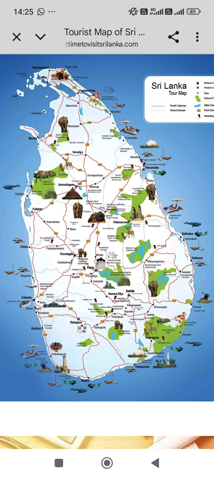 Islandborn Tour Guide soulmate