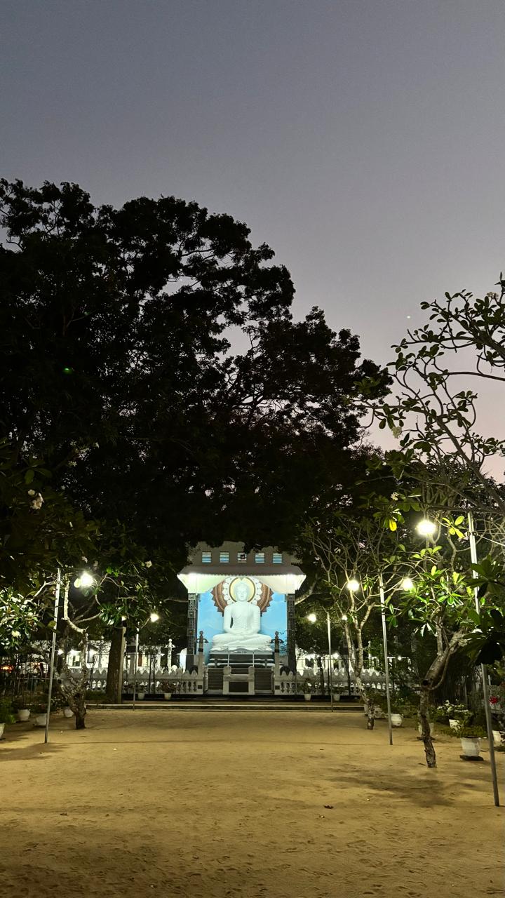 Islandborn Tour Guide soulmate