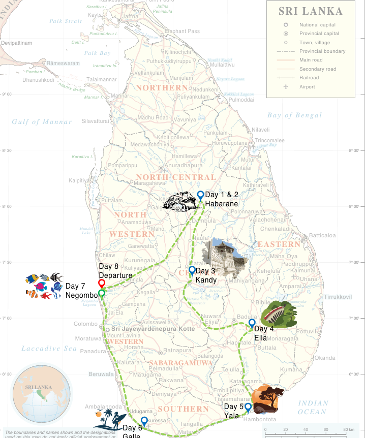 Amazing Escapes Tours