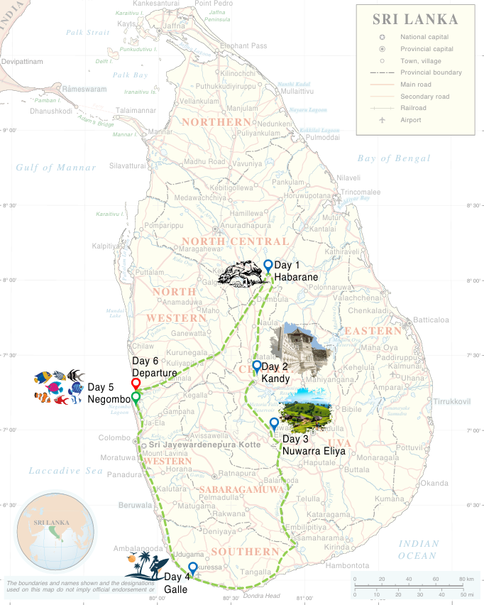 Amazing Escapes Tours