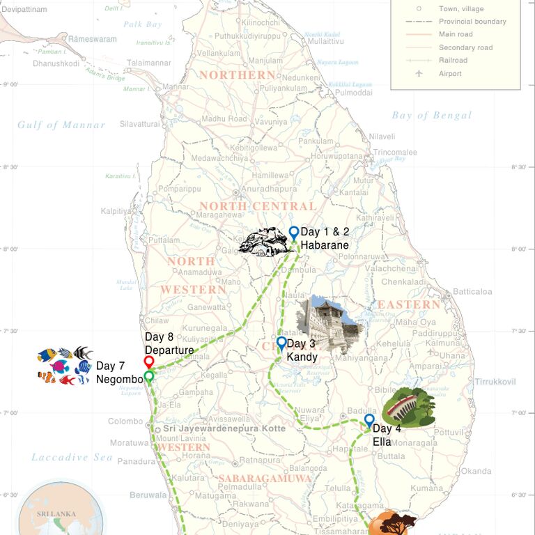 Amazing Escapes Tours