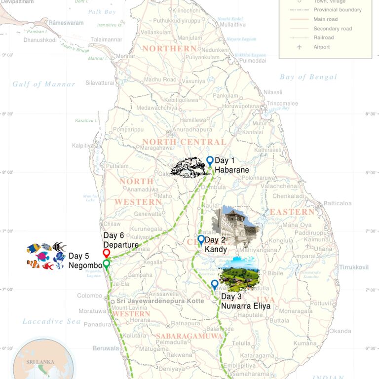 Amazing Escapes Tours