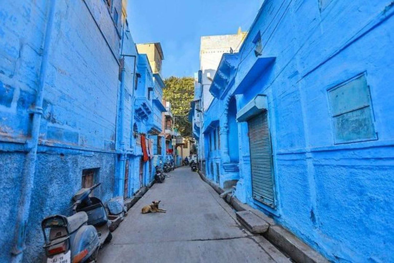BlueCityHeritageWalksJodhpur