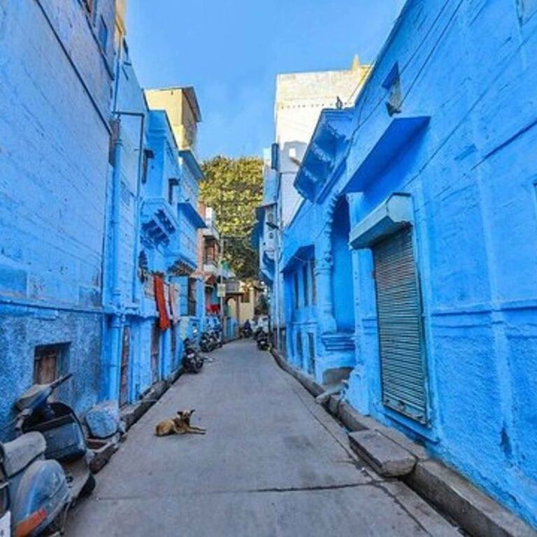 BlueCityHeritageWalksJodhpur
