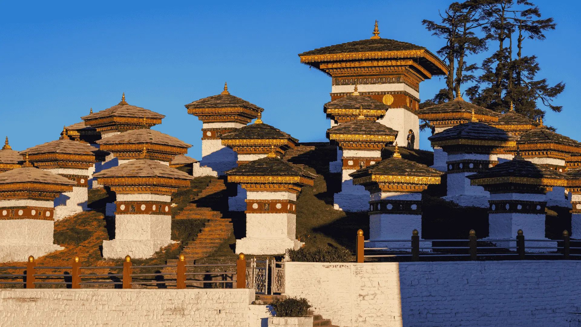 Ambo Tours and Travels