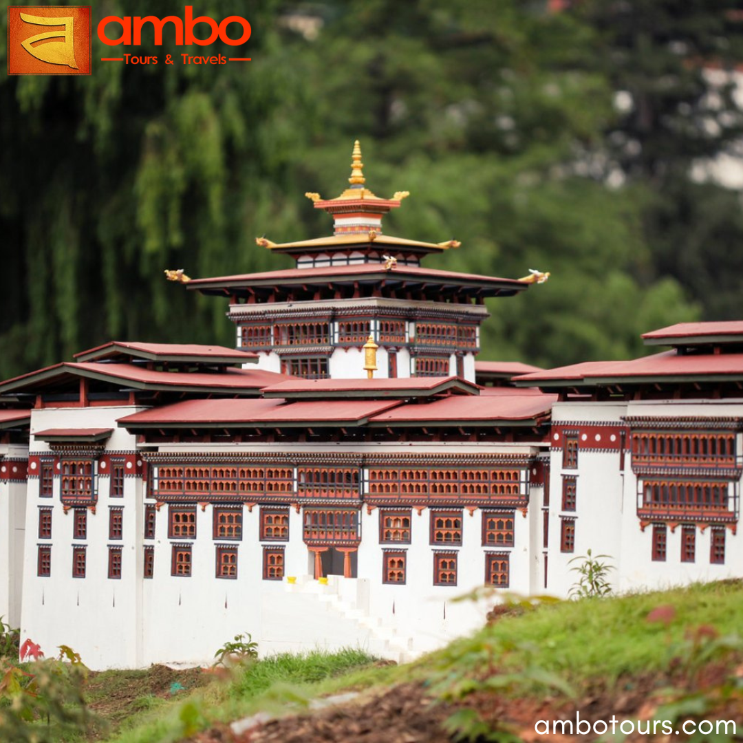 Ambo Tours and Travels