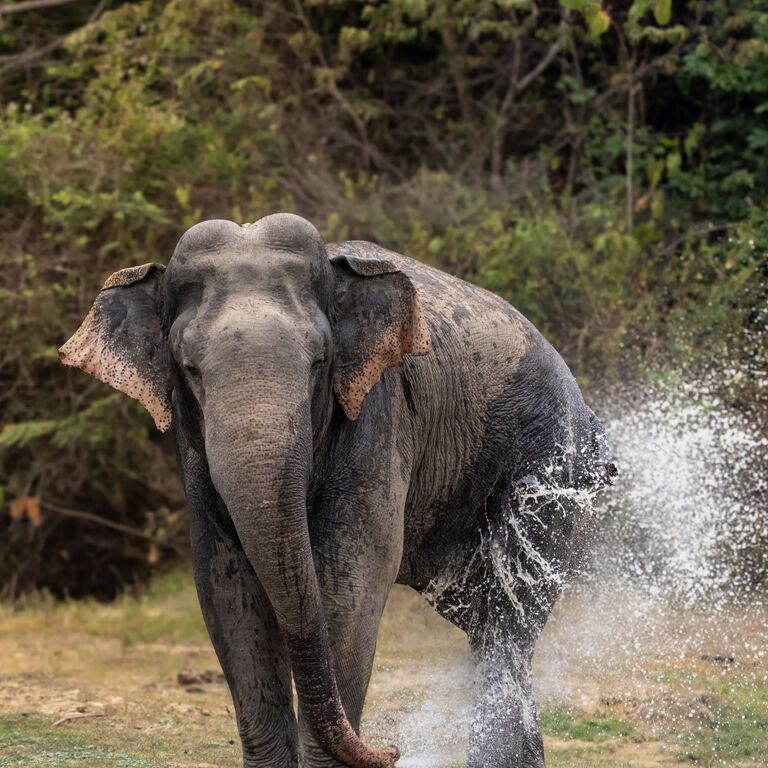 Lanka Travel Gateway