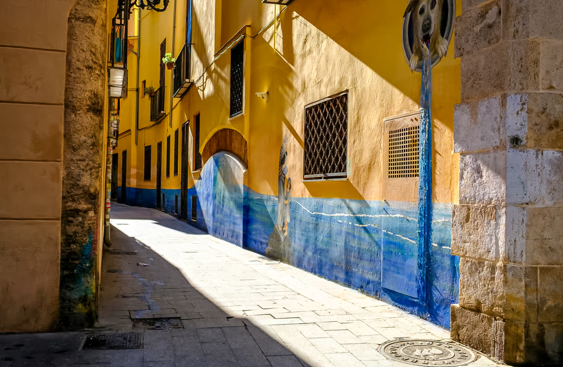 Max's Valencia Photo Adventure