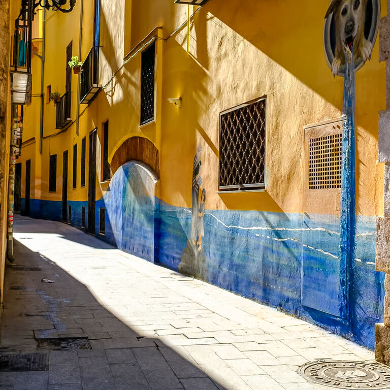 Max's Valencia Photo Adventure