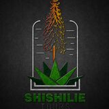 Shishilie Ethiopia Tours