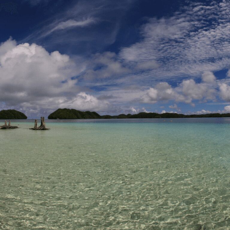 Palau Sea World Dive Center