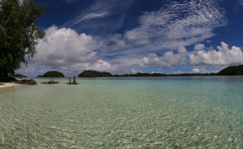 Palau Sea World Dive Center