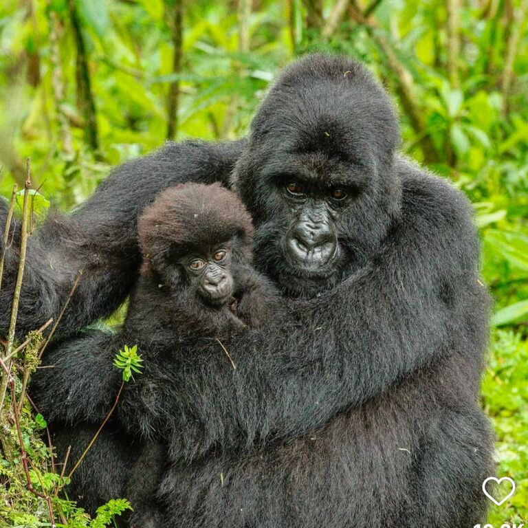 KIJE AFRICAN ADVENTURES