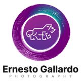 Ernesto Gallardo