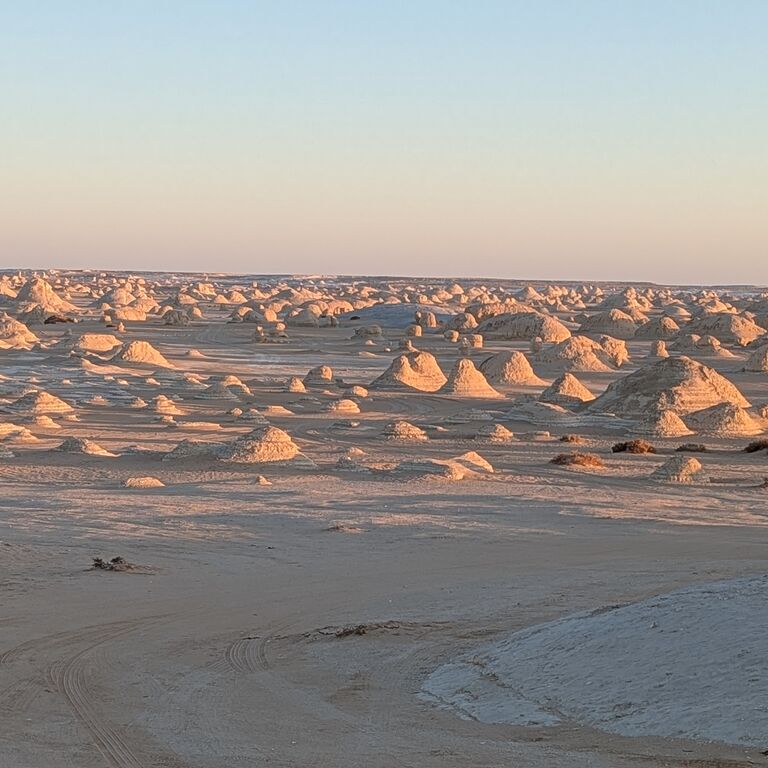 White Desert Camping Tours