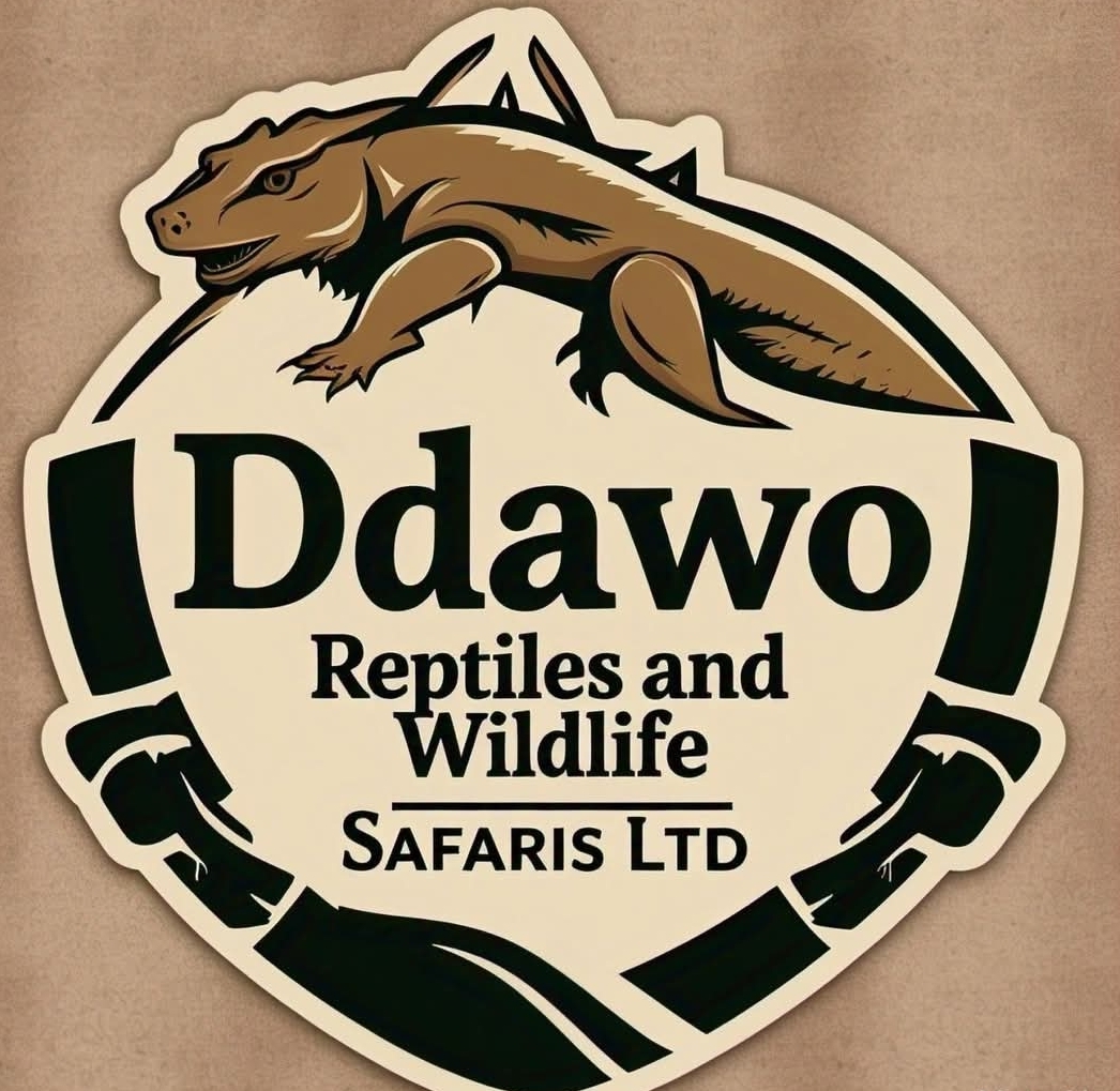 Ddawo reptiles&wildlifesafaris