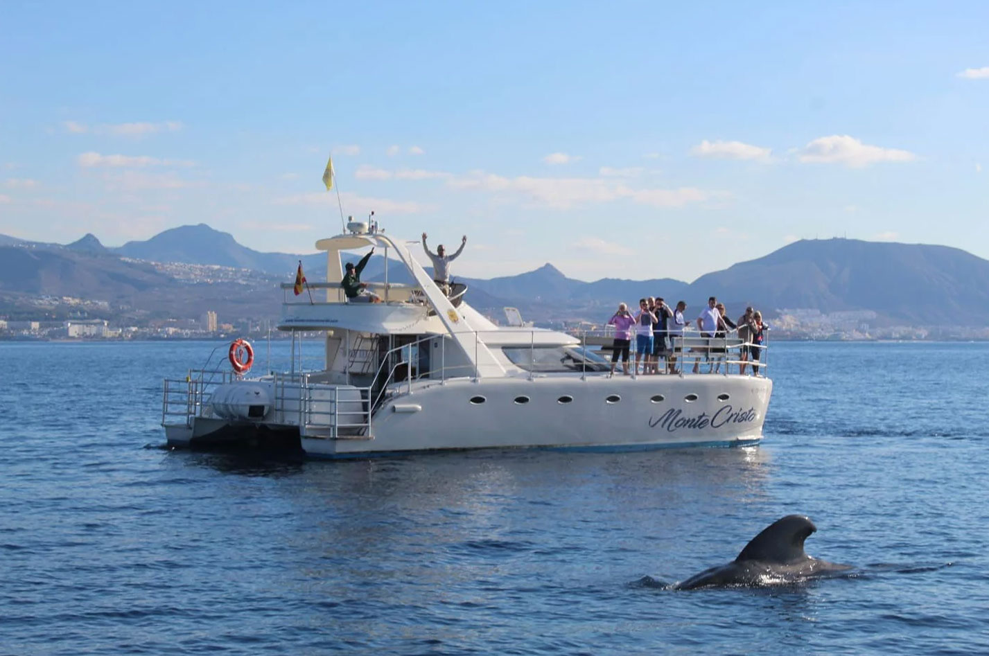 Whale Watching Tenerife