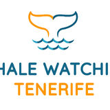 Whale Watching Tenerife
