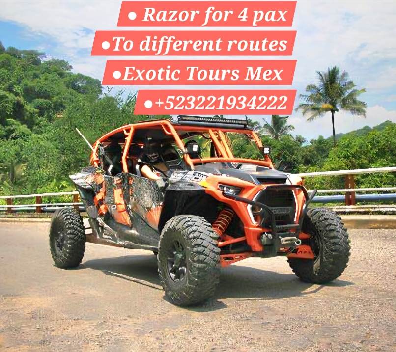 Exotic Tours Mex