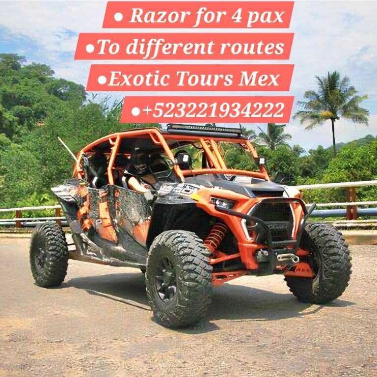 Exotic Tours Mex