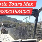 Exotic Tours Mex