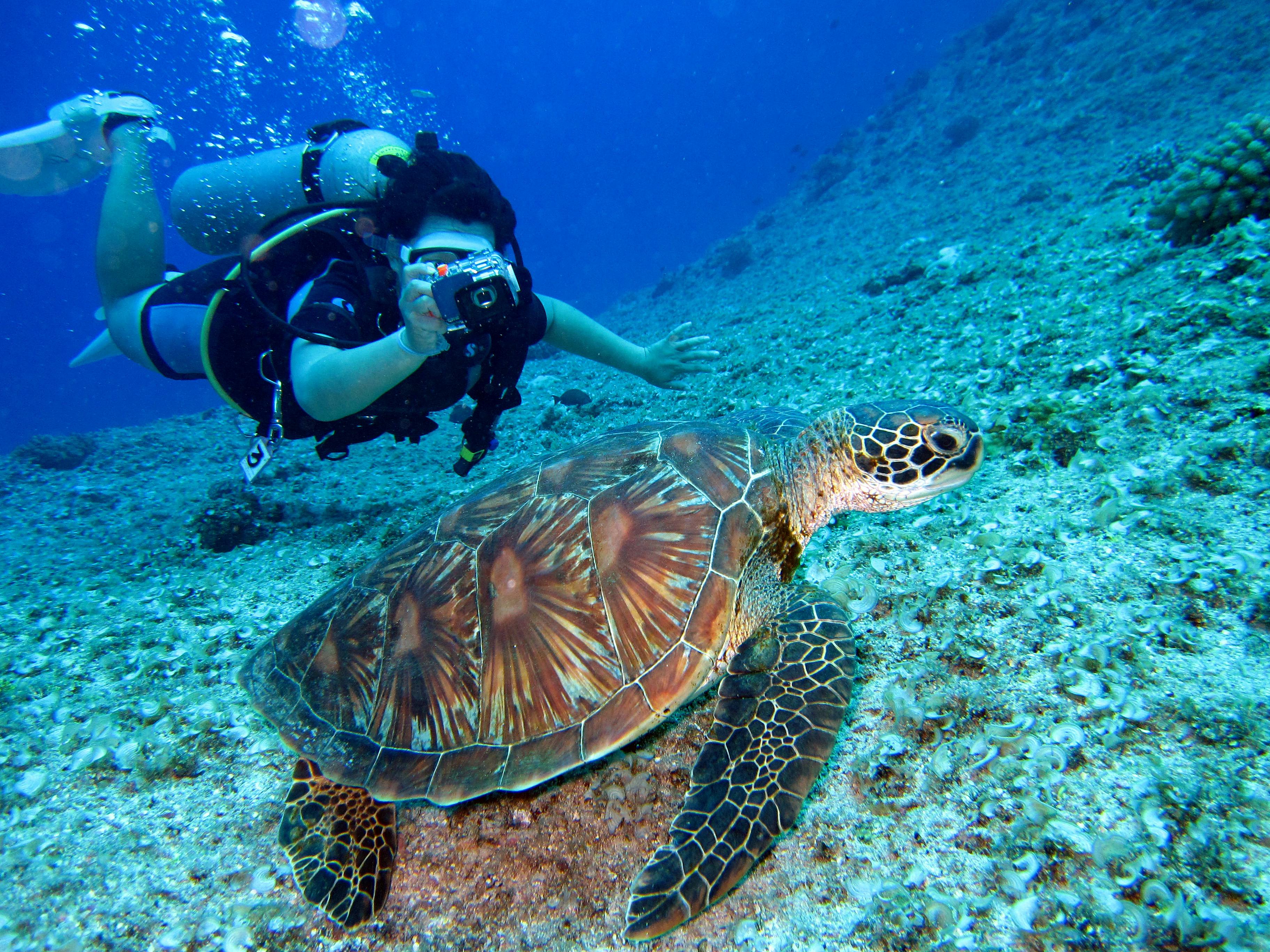 Kimidar Sharm Tours