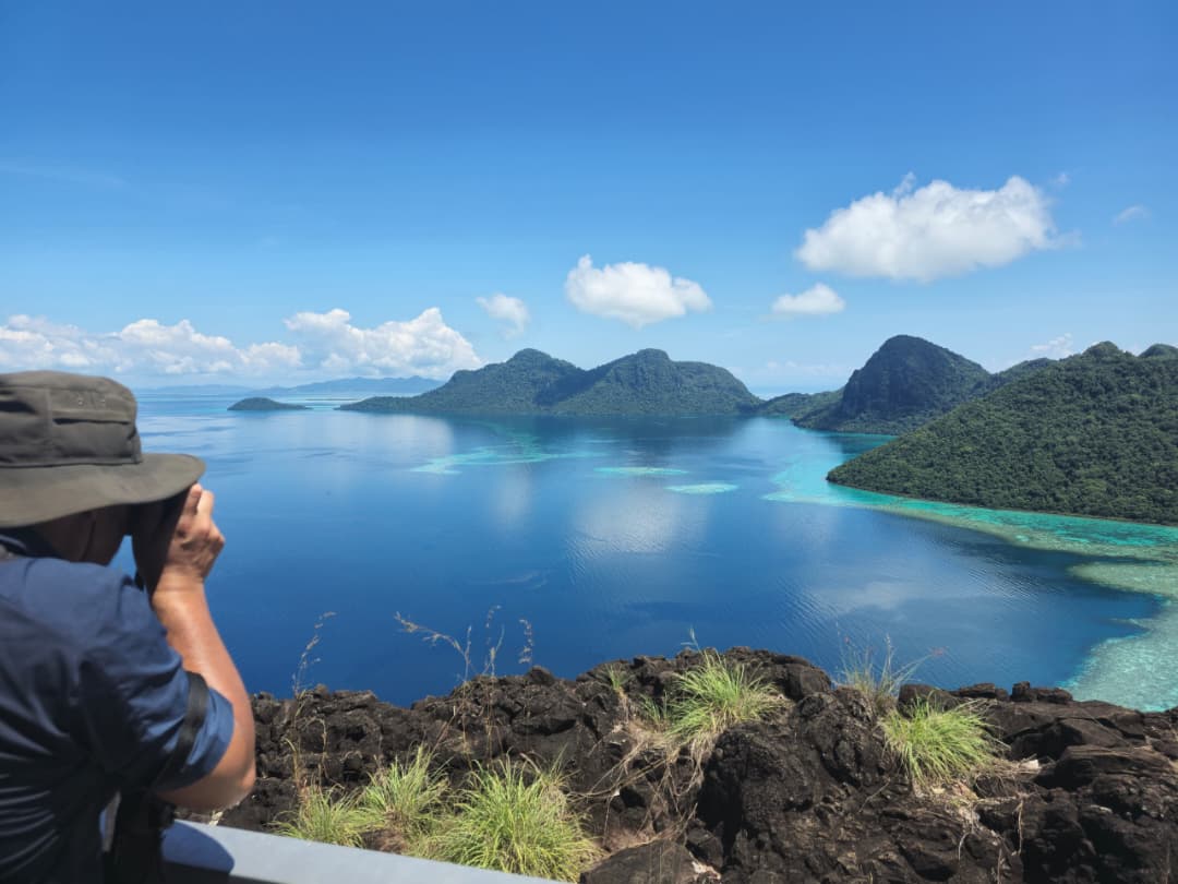 Bigfin Divers Borneo