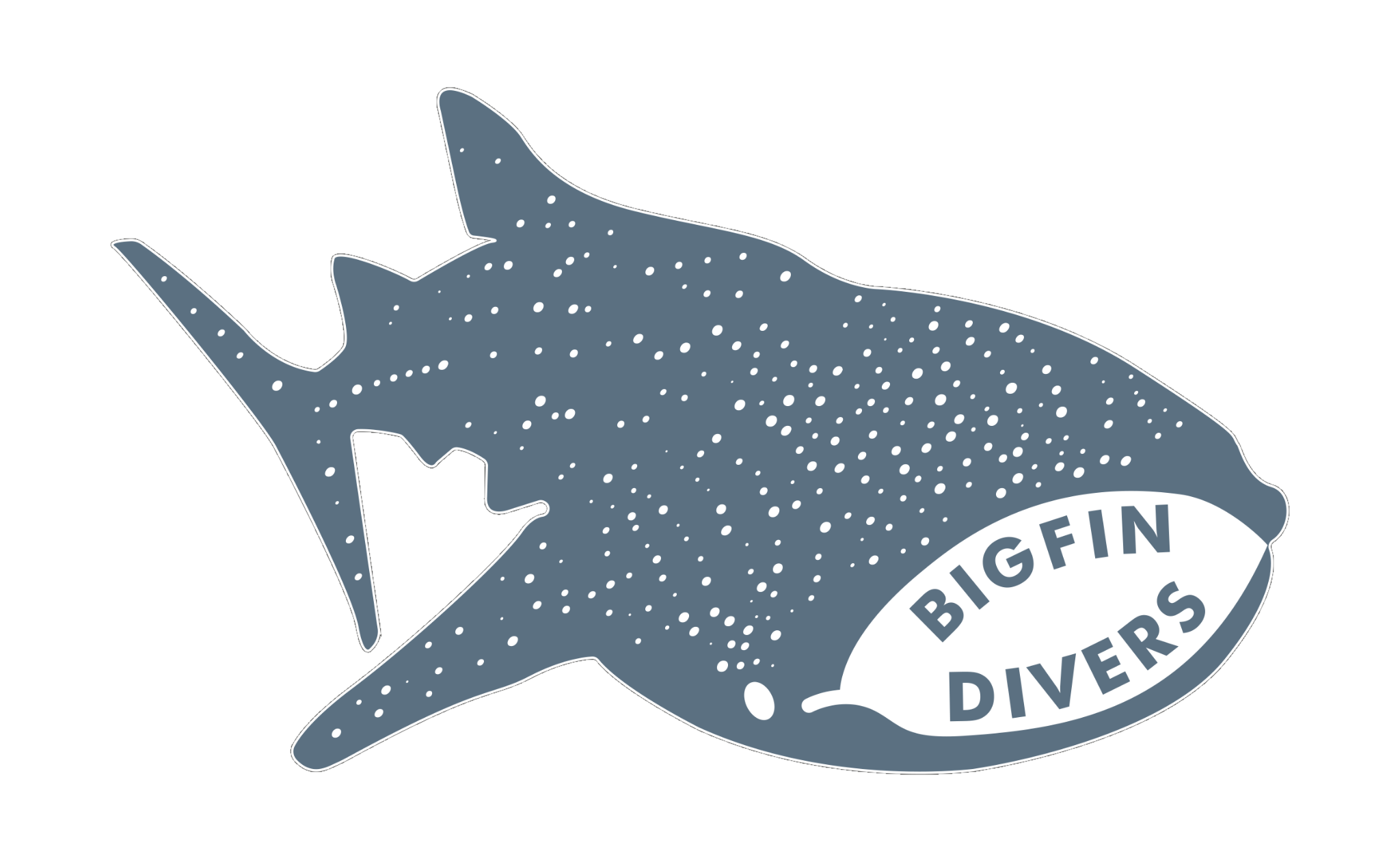 Bigfin Divers Borneo