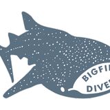 Bigfin Divers Borneo