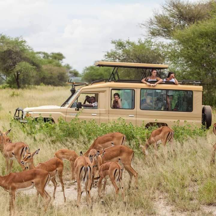 BLACK WILLOW SAFARIS