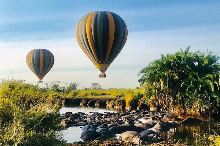 BLACK WILLOW SAFARIS