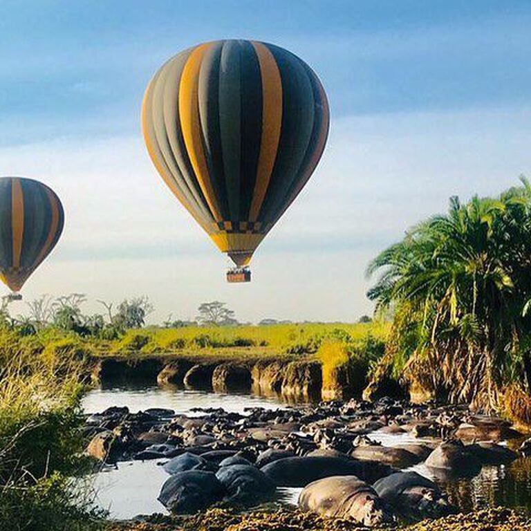 BLACK WILLOW SAFARIS