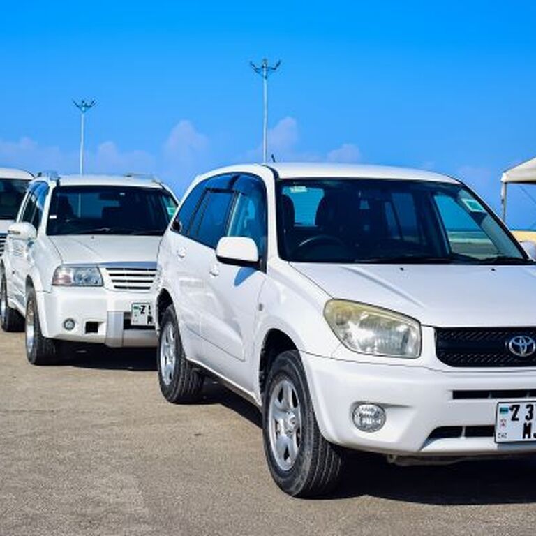 Zancars Rental