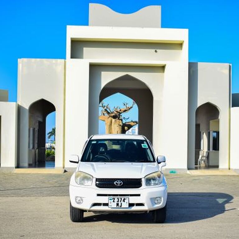 Zancars Rental