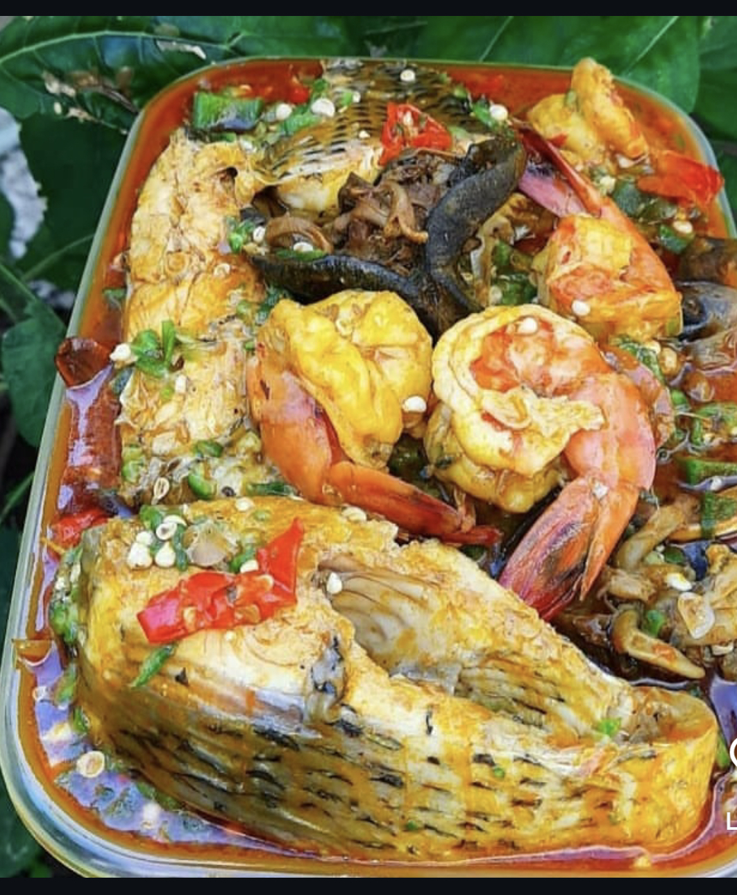 Junglejollofbyea kitchen