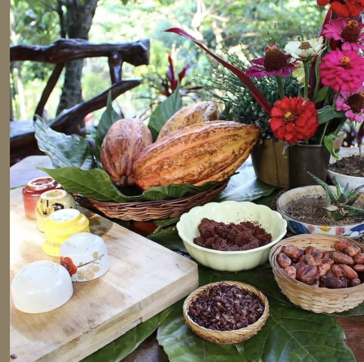 Munnar Chocolate Factory