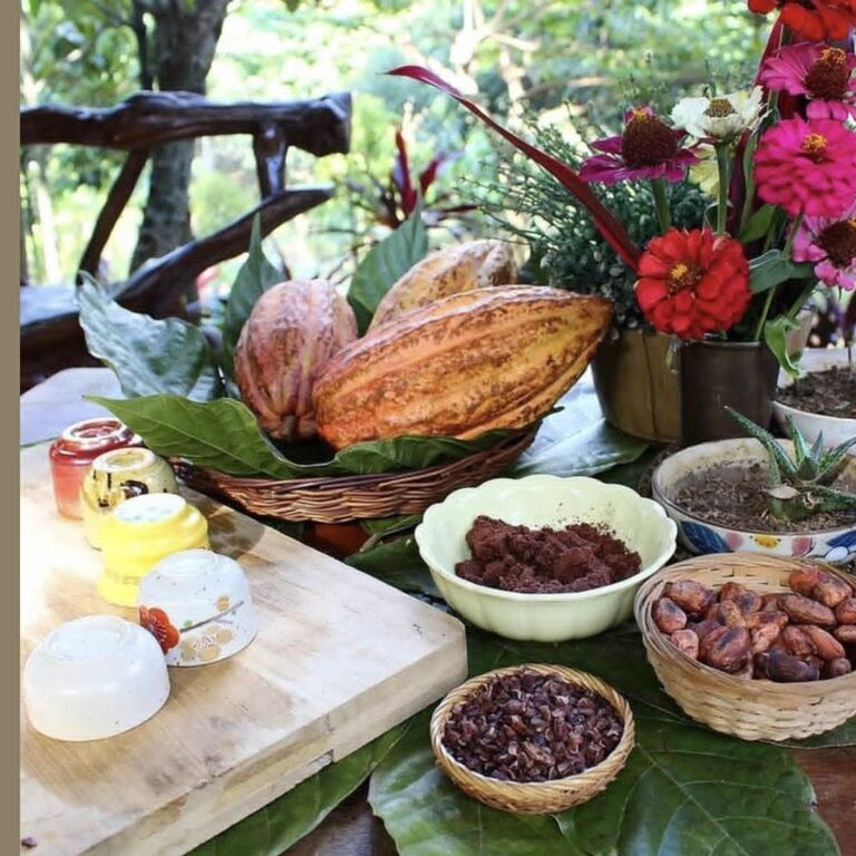 Munnar Chocolate Factory