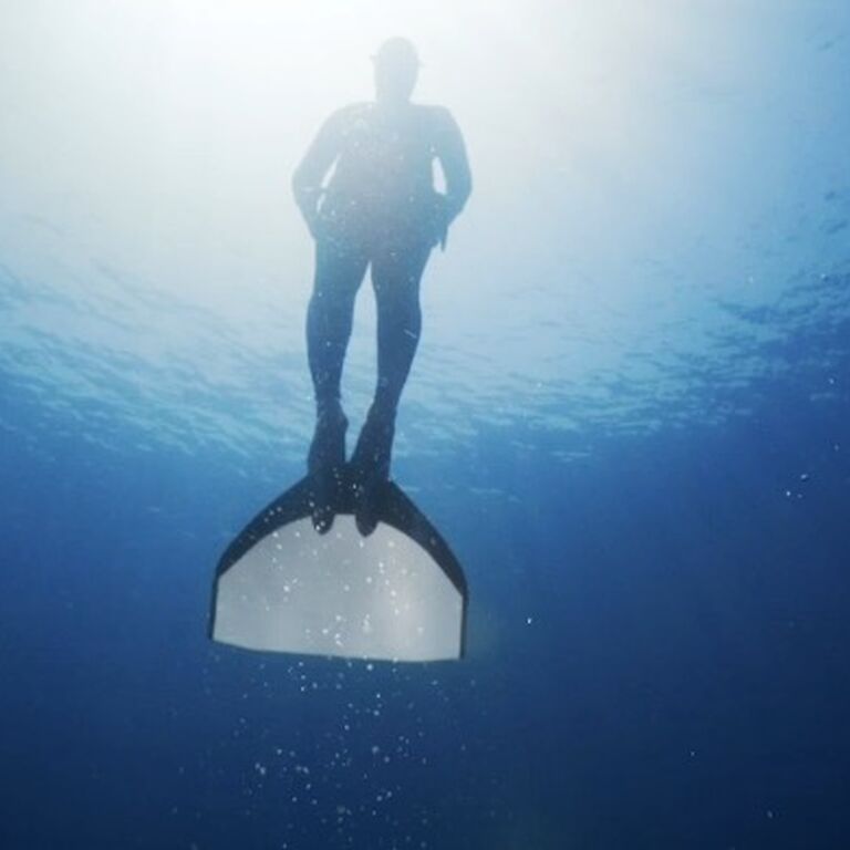 DIVERS PLANET
