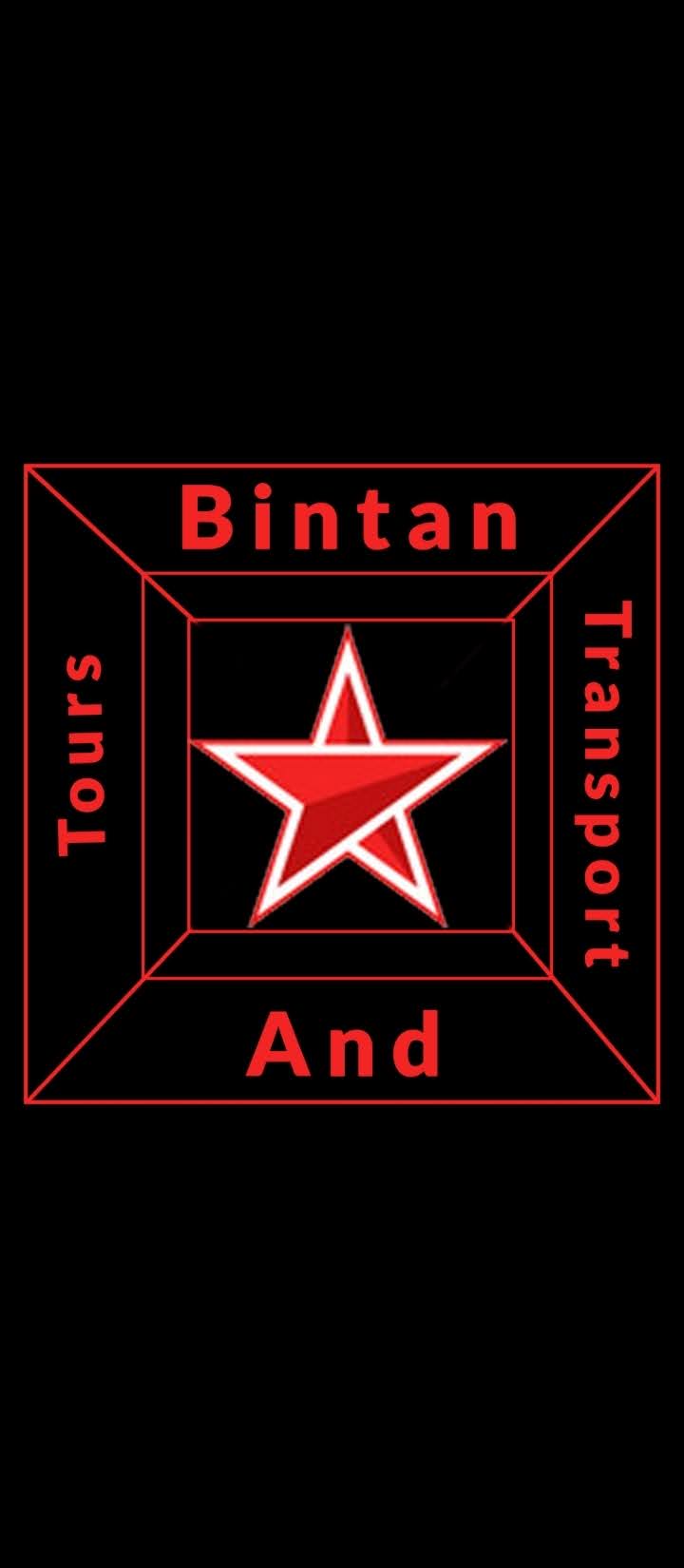 bintan transport and tours