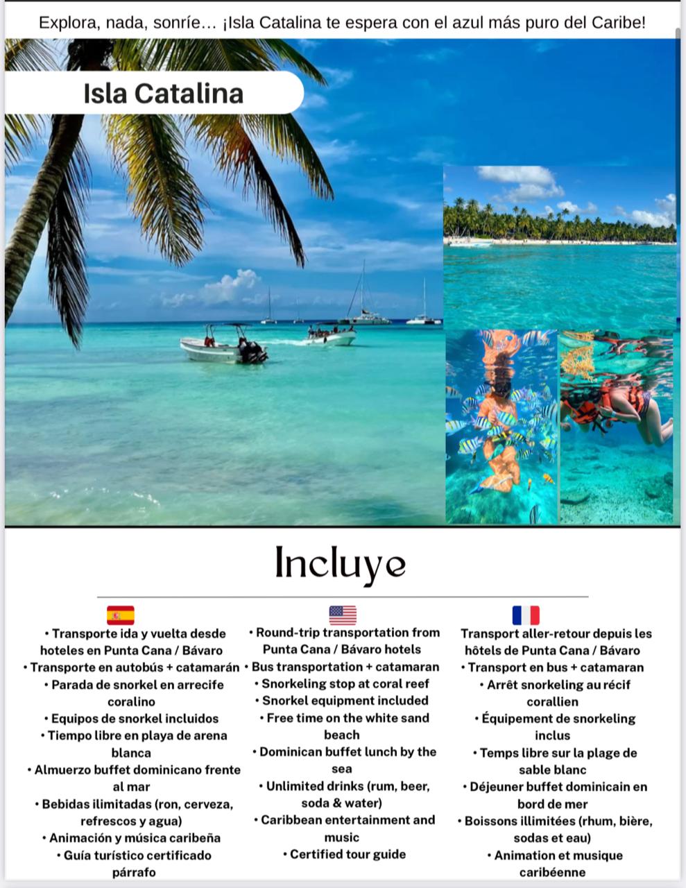 Loro Azul Tours
