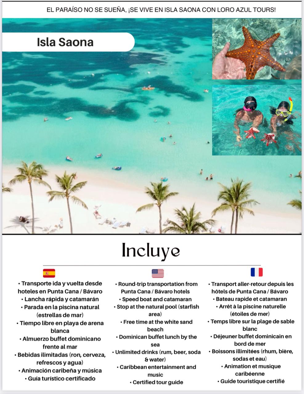 Loro Azul Tours