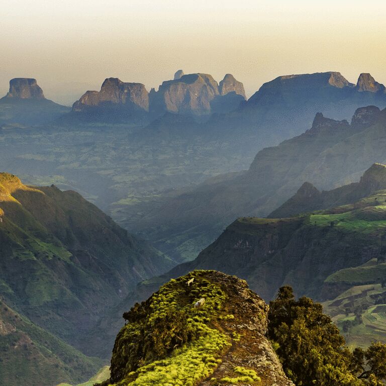 Wisdom Ethiopia Tours